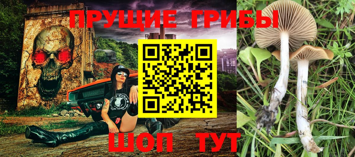 Псилоцибиновые грибы Magic Shrooms  Псилоцибиновые грибы MAGIC MUSHROOMS  Арзамас  Вход с VPN 