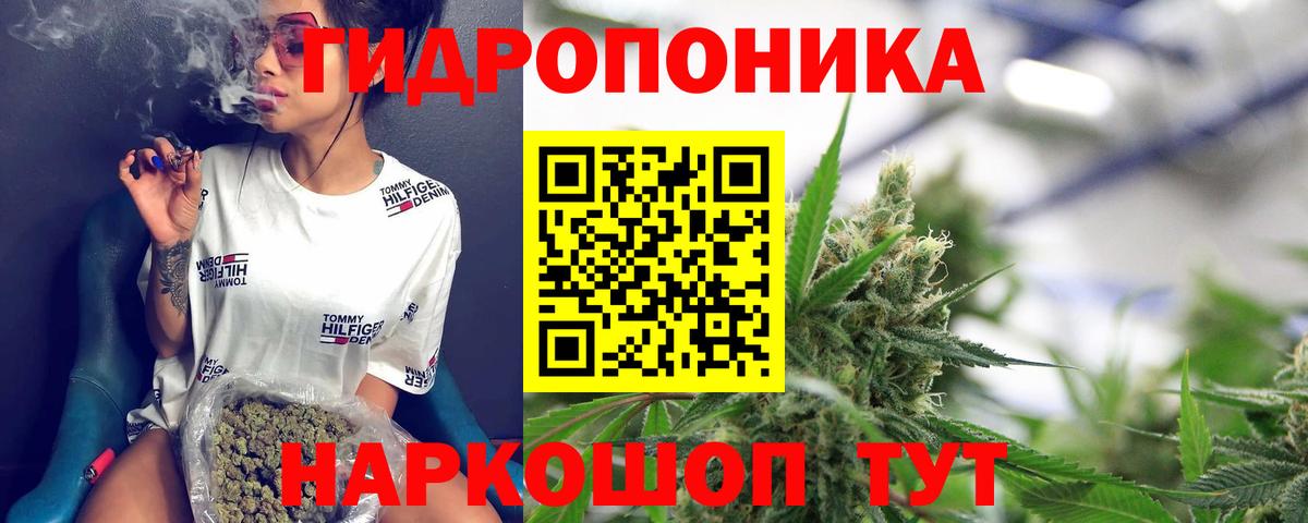 Каннабис сатива Арзамас